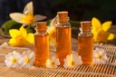 AdobeStock_346293675 (1).jpeg